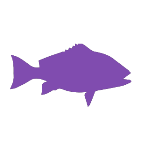 Pesce bianco